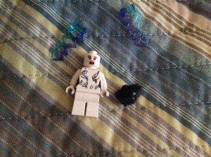 photo (18)