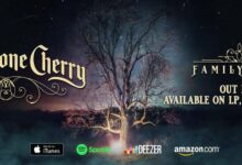 BSC Family Tree Banner