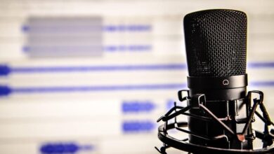 Microphone 338481 960 720